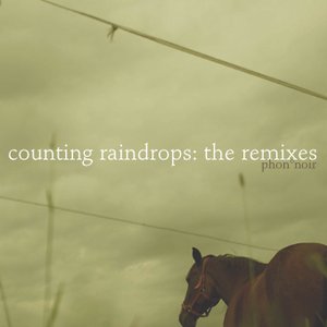 counting raindrops: the remixes