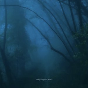 sleep in your arms