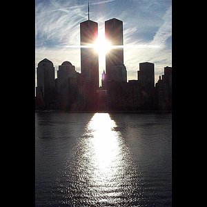 Beautiful Bird (In Honor of 9/11) - Single