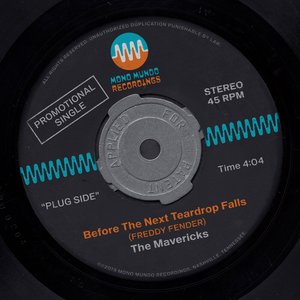 Before The Next Teardrop Falls