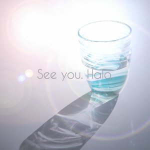 See you. Halo,