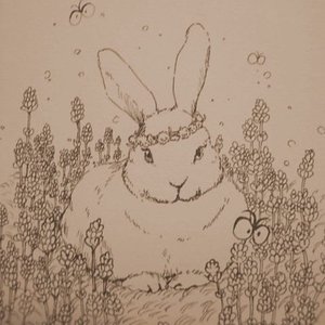 Avatar for 小林しの (Shino Kobayashi)