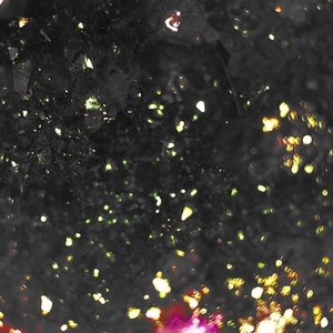 to wHom it may concern - Single