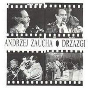 Drzazgi