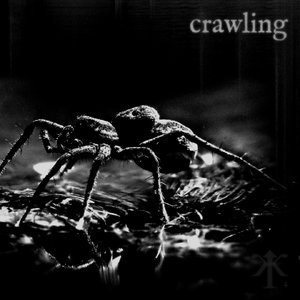 crawling