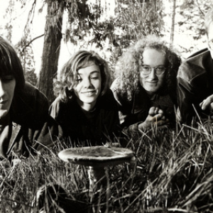 The Magick Heads photo provided by Last.fm