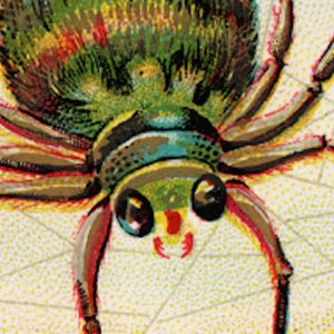 Albert The Spider 的头像