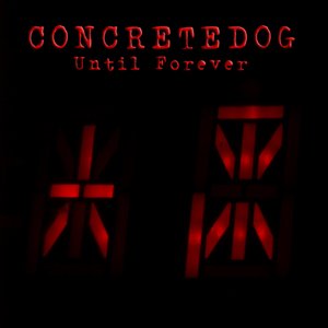 “Until Forever”的封面