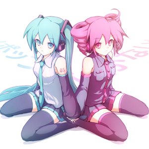 Avatar for 初音ミク・重音テト