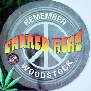 Remember Woodstock (Remastered)