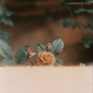 A Dream of You - Single