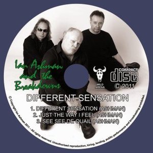 Ian ashman and the breakdowns 的头像