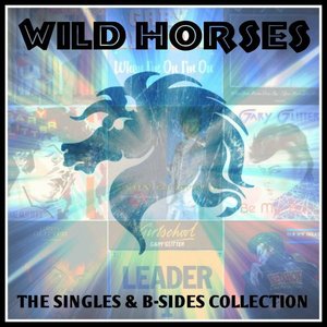 Wild Horses