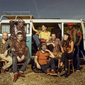 The Bongo Hop 的头像