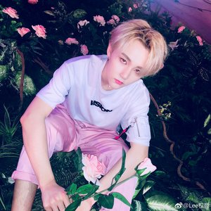Avatar för 李權哲 (Quanzhe Li)