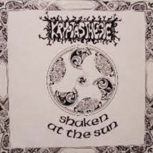 Shaken At The Sun