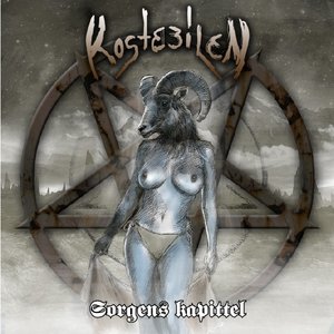 Kostebilen 的头像