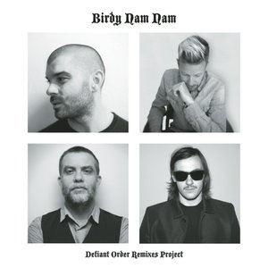 Defiant Order (Remixes Project)
