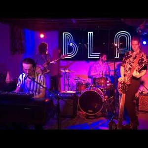 Black Light Animals 的头像