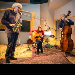 Michael Formanek Very Practical Trio 的头像