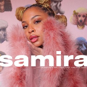 Valentine's Day (I Ain't Got Time for That) - Single