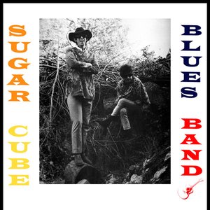 Sugar Cube Blues Band
