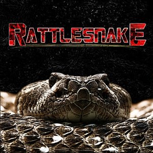 Rattlesnake