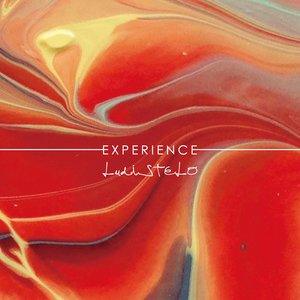 Experience