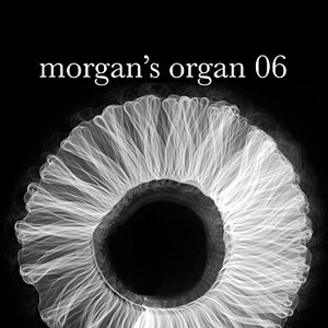 Morgan's Organ 06