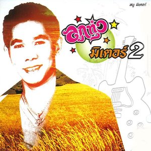 ลูกทุ่งมิเตอร์ 2