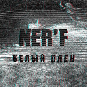 NER'F 的头像