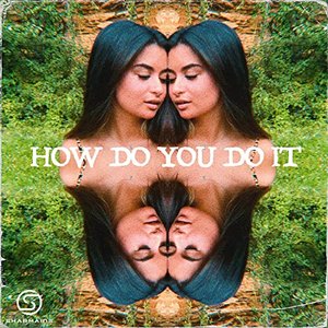 How Do You Do It