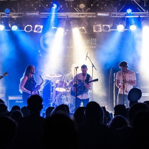 Buck Roger & the Sidetrackers 的头像