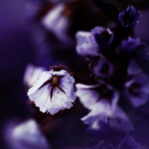 Beautiful Piano Covers