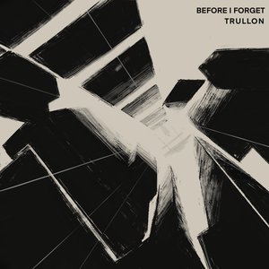 Before I Forget