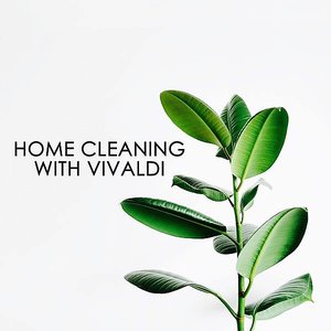 Home cleaning with Vivaldi