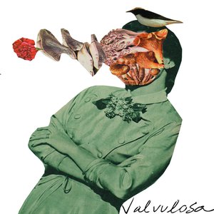 Valvulosa