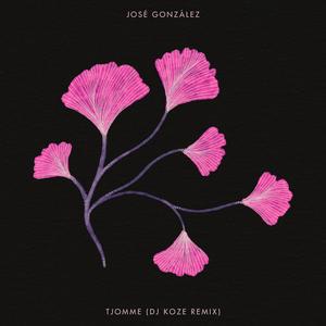 Artwork for Tjomme