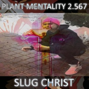 PLANT MENTALITY 2.567