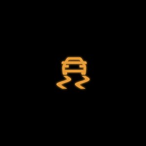 Traction Control - Single