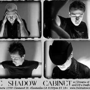 “The Shadow Cabinet”的封面