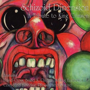 Schizoid Dimension - A Tribute To King Crimson