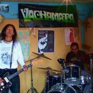 Vachamata 的头像