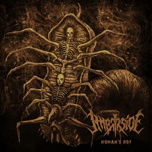 Human’s Rot