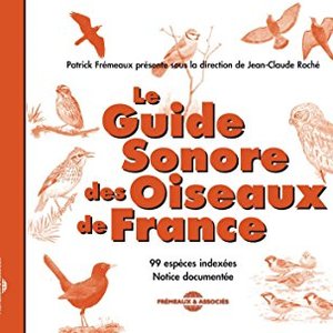 Sound Guide Of The Birds In France