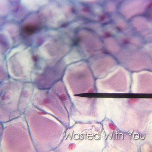 Wasted With You