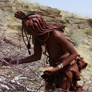 Namibian 的头像