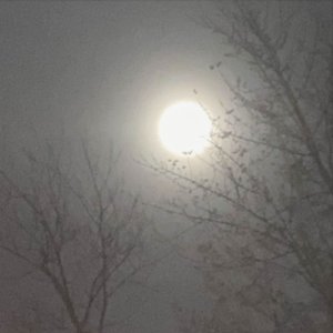 GOODBYE - Single