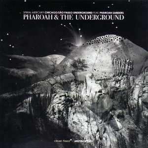 Chicago/São Paulo Underground Feat. Pharoah Sanders 的头像