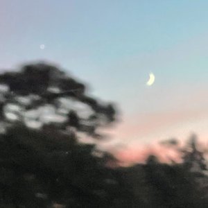 Vh5 - Single